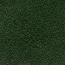 Satellite imagery of Marble Point, US