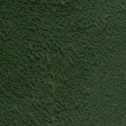 Satellite imagery of Marble Point, US