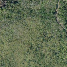 Satellite imagery of Cherry Hill Mountain, CA