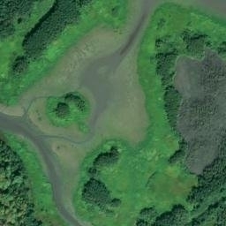 Satellite imagery of Coon Point, US