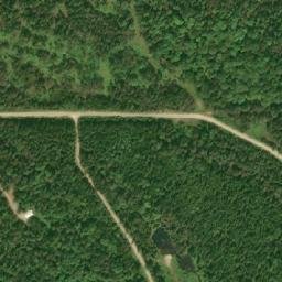 Satellite imagery of Lougheeds Point, CA