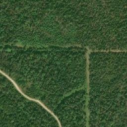 Satellite imagery of Lougheeds Point, CA