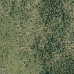 Satellite imagery of Thompson Pond Ridge, CA