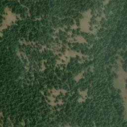 Satellite imagery of McAlister Ridge, US