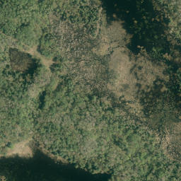 Satellite imagery of Thompson Pond Ridge, CA