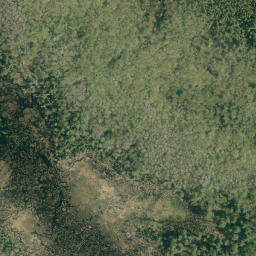 Satellite imagery of Thompson Pond Ridge, CA