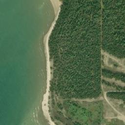 Satellite imagery of Lougheeds Point, CA
