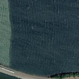 Satellite imagery of Collins Point, US