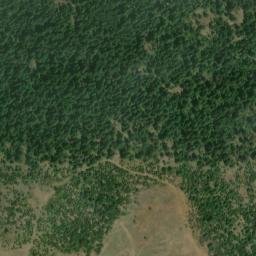Satellite imagery of McAlister Ridge, US