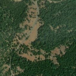 Satellite imagery of McAlister Ridge, US