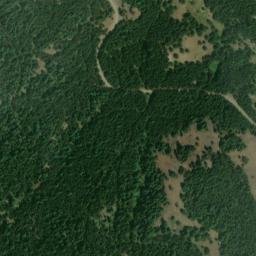 Satellite imagery of McAlister Ridge, US