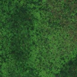 Satellite imagery of Fossil Hill, CA