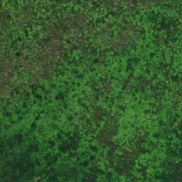 Satellite imagery of Fossil Hill, CA