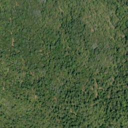 Satellite imagery of Campbells Camp Mountain, CA