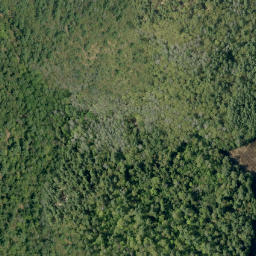 Satellite imagery of Campbells Camp Mountain, CA