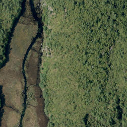 Satellite imagery of Campbells Camp Mountain, CA