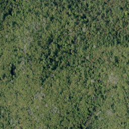 Satellite imagery of Shellhorn Mountain, CA
