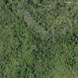 Satellite imagery of Shellhorn Mountain, CA
