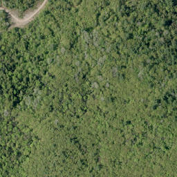 Satellite imagery of Shellhorn Mountain, CA
