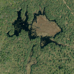 Satellite imagery of Redpine Mountain, CA