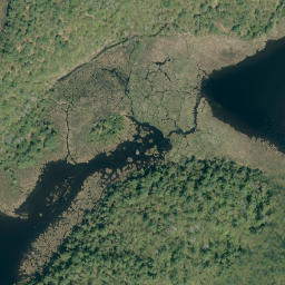 Satellite imagery of Chicot Mountain, CA