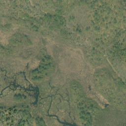 Satellite imagery of Hardwood Mountain, CA