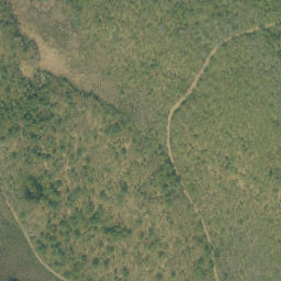 Satellite imagery of Hardwood Mountain, CA