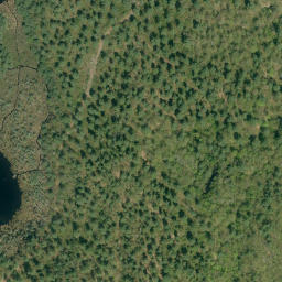 Satellite imagery of Red Rock Mountain, CA