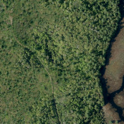 Satellite imagery of Campbells Camp Mountain, CA