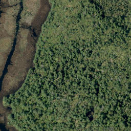 Satellite imagery of Campbells Camp Mountain, CA