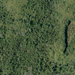 Satellite imagery of Shellhorn Mountain, CA