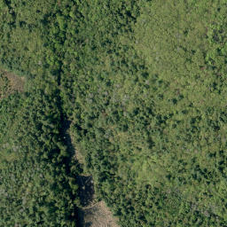 Satellite imagery of Shellhorn Mountain, CA