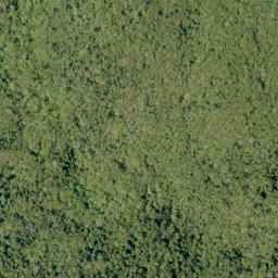 Satellite imagery of Shellhorn Mountain, CA