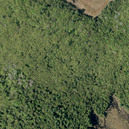 Satellite imagery of Big Hardwood Mountain, CA