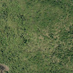 Satellite imagery of Big Hardwood Mountain, CA