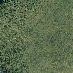 Satellite imagery of Chicot Mountain, CA
