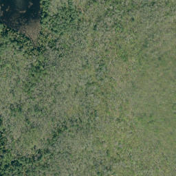 Satellite imagery of Hardwood Mountain, CA