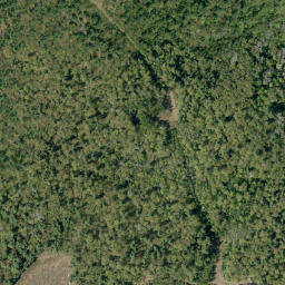 Satellite imagery of Campbells Camp Mountain, CA