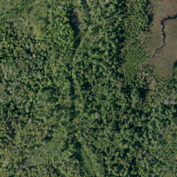 Satellite imagery of Campbells Camp Mountain, CA