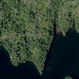 Satellite imagery of Shellhorn Mountain, CA