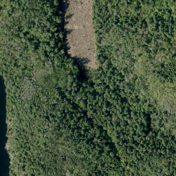 Satellite imagery of Shellhorn Mountain, CA