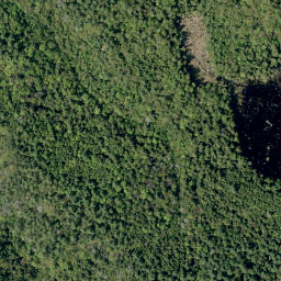 Satellite imagery of Shellhorn Mountain, CA