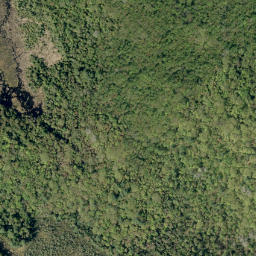 Satellite imagery of Big Hardwood Mountain, CA