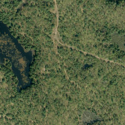 Satellite imagery of Redpine Mountain, CA