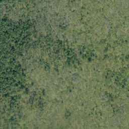Satellite imagery of Hardwood Mountain, CA