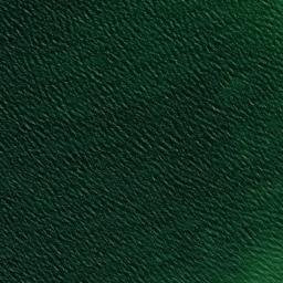 Satellite imagery of Cheboygan Point, US