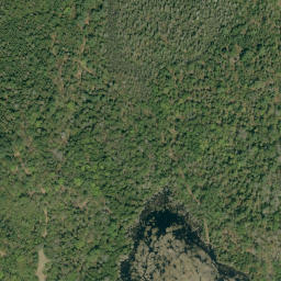 Satellite imagery of Buck Hill, CA