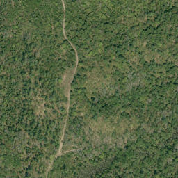 Satellite imagery of Buck Hill, CA