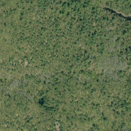 Satellite imagery of Jonsons Lake Mountain, CA