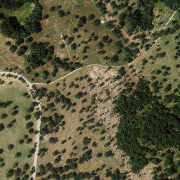Satellite imagery of Lipica, boundary stone, HR